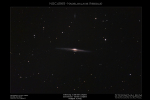 NGC4565 - Die Nadelgalaxie