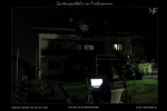 Spechteln im Juni 2011